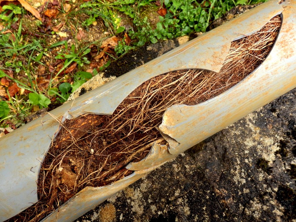 Root Ingress and Joint Displacement in Chertsey - Call us for your CCTV Drain Survey